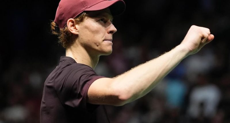 Jannik Sinner avanza a semifinales del Masters 1.000 de París – La Voz del Altiplano