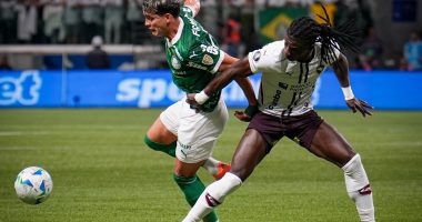 «No tuvimos capacidad para asociarnos» – La Voz del Altiplano