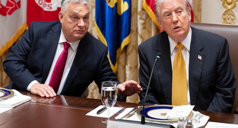 EEUU acusa a Irán de conspirar para matar a embajadora de Israel en México – La Voz del Altiplano