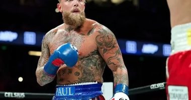 Jake Paul busca oponente para su pelea antes del 2026 – La Voz del Altiplano