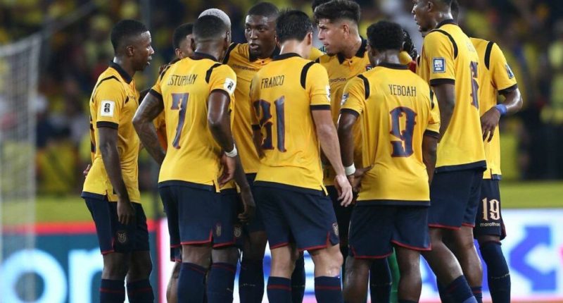 Tricolores convocados para fecha FIFA  – La Voz del Altiplano