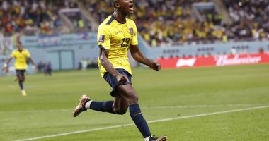 Ecuador busca cerrar el año con triunfo  – La Voz del Altiplano