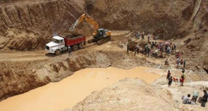 Estos fueron los tres principales productos de exportación de Nicaragua hasta septiembre – La Voz del Altiplano