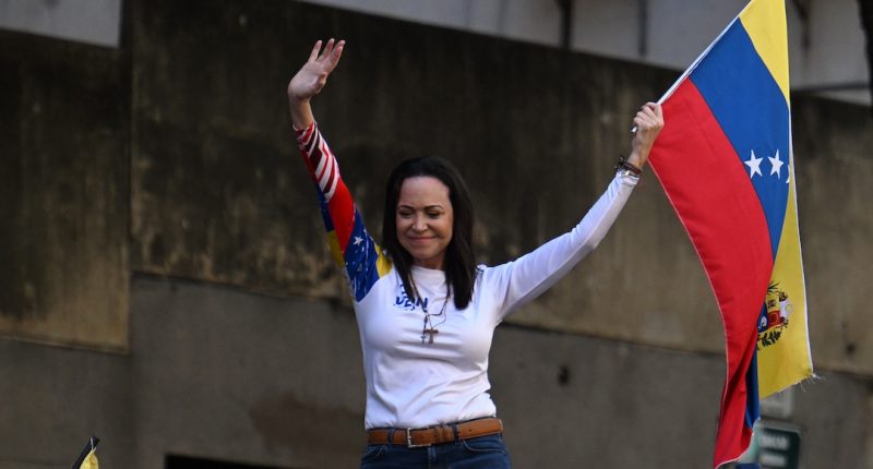 Machado espera ser presidenta de Venezuela «cuando llegue el momento adecuado» – La Voz del Altiplano