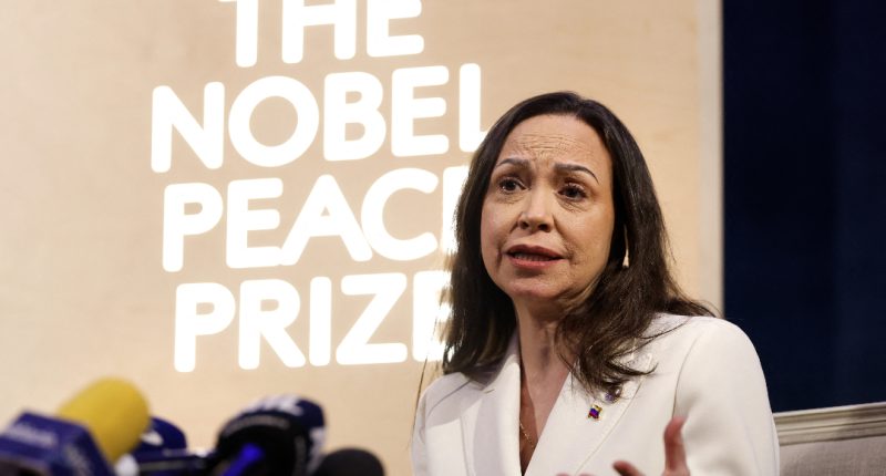 La opositora María Corina Machado dice que tuvo ayuda de EEUU para salir de Venezuela – La Voz del Altiplano