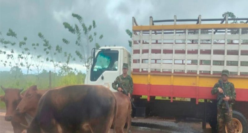 Ejército de Nicaragua detiene a costarricenses que trasladaban ganado de manera ilegal – La Voz del Altiplano