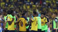 De 2002 a 2022: los grupos que definieron la historia de Ecuador en sus participaciones mundialistas – La Voz del Altiplano