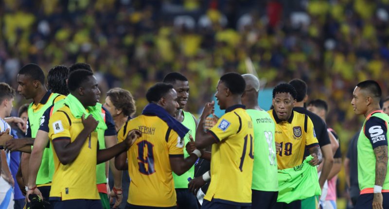 De 2002 a 2022: los grupos que definieron la historia de Ecuador en sus participaciones mundialistas – La Voz del Altiplano