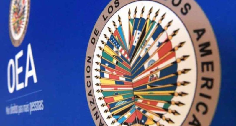 OEA pide «agilizar» escrutinio de presidenciales en Honduras – La Voz del Altiplano