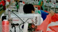 Menos empleos, empresas y recursos por caída de exportaciones en zonas francas – La Voz del Altiplano