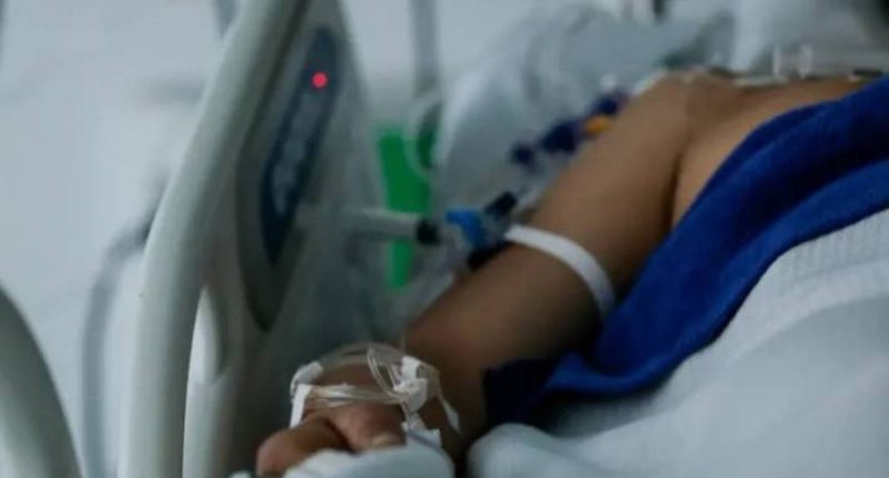 Ecuador sin casos de virus Nipah – La Voz del Altiplano