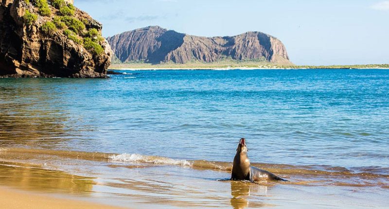 Feriados obligatorios en Galápagos – La Voz del Altiplano