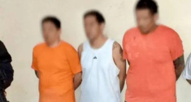 Sentencian a nuevo miembros de ‘Los Lobos’ en caso ‘Cazador’ – La Voz del Altiplano