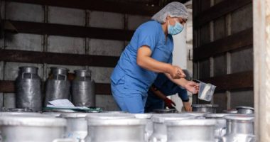 Las exportaciones lácteas de Ecuador crecieron un 135 % – La Voz del Altiplano