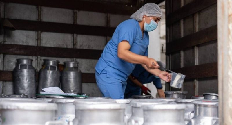 Las exportaciones lácteas de Ecuador crecieron un 135 % – La Voz del Altiplano