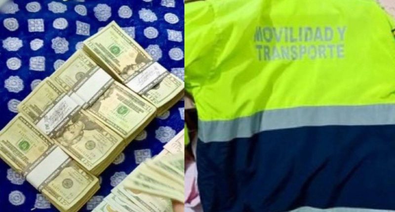 Trámites de Tránsito Suspendidos; ¿Qué debes hacer? – La Voz del Altiplano