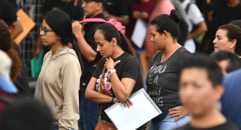 Más de 10 mil personas accedieron al seguro de desempleo – La Voz del Altiplano