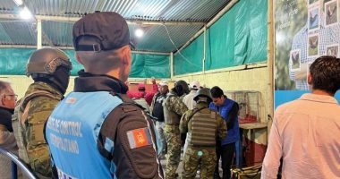 Clausuran gallera clandestina en Quito – La Voz del Altiplano