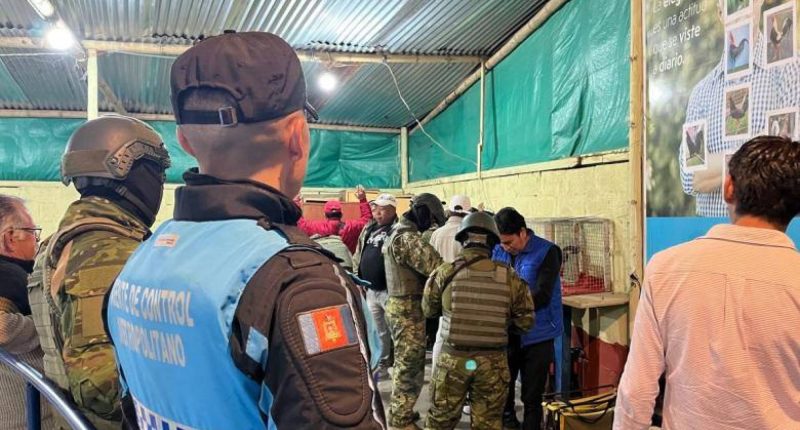 Clausuran gallera clandestina en Quito – La Voz del Altiplano