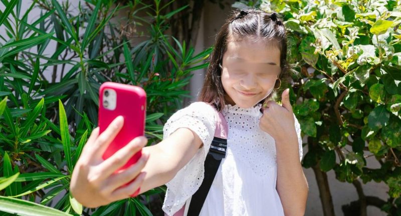 Francia prohíbe redes sociales a menores de 15 años – La Voz del Altiplano