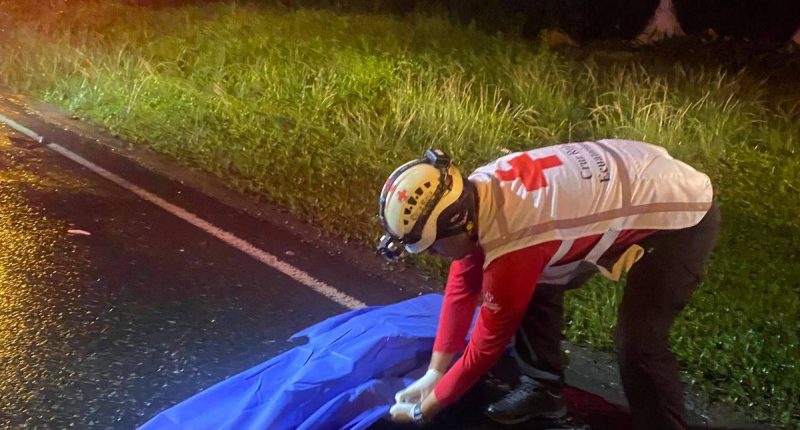la muerte los sorprendió al cambiar una llanta en plena carretera – La Voz del Altiplano