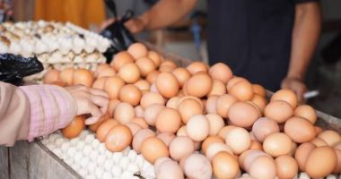 Incremento del Precio del Huevo en Ecuador – La Voz del Altiplano