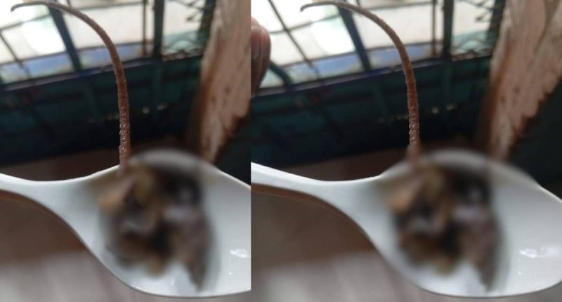 Sopa con ratón: Presos de la Penitenciaría del Litoral estarían recibiendo alimentos inadecuados – La Voz del Altiplano