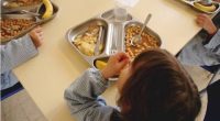 La OMS insta a reforzar la alimentación saludable en escuelas – La Voz del Altiplano