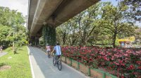 Medellín reduce temperatura con inversión de .50 por habitante – La Voz del Altiplano