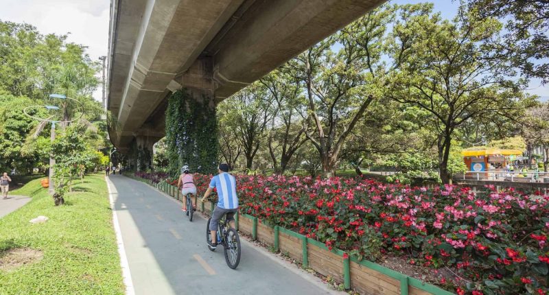 Medellín reduce temperatura con inversión de .50 por habitante – La Voz del Altiplano