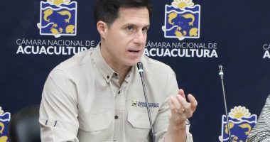 Récord del camarón ecuatoriano: sostenibilidad y eficienci – La Voz del Altiplano