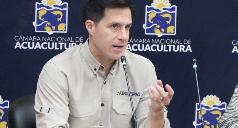 Récord del camarón ecuatoriano: sostenibilidad y eficienci – La Voz del Altiplano