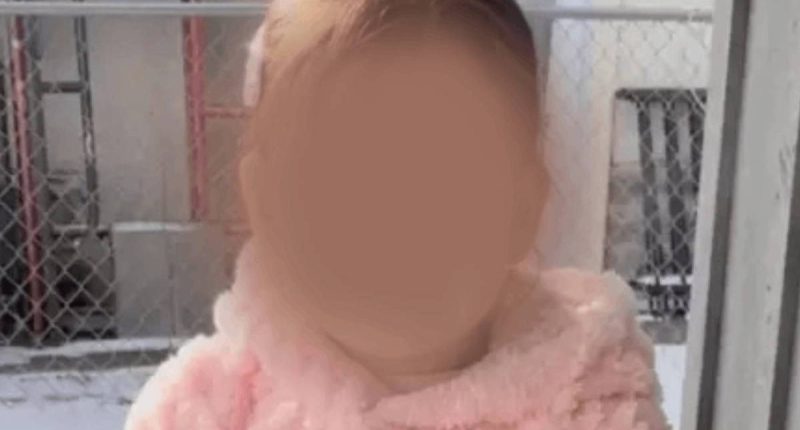 ICE detiene a migrante ecuatoriano y su hija en Minneapolis – La Voz del Altiplano