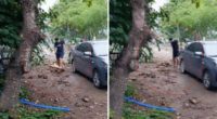 Perro asesinado a machetazos en Manabí: hombre detenido – La Voz del Altiplano