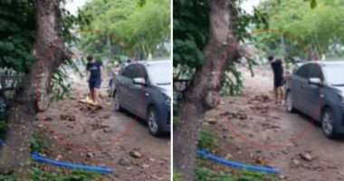 Perro asesinado a machetazos en Manabí: hombre detenido – La Voz del Altiplano