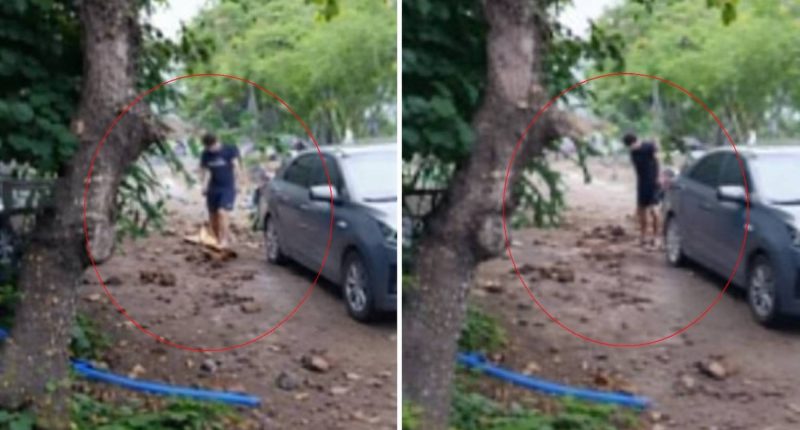 Perro asesinado a machetazos en Manabí: hombre detenido – La Voz del Altiplano