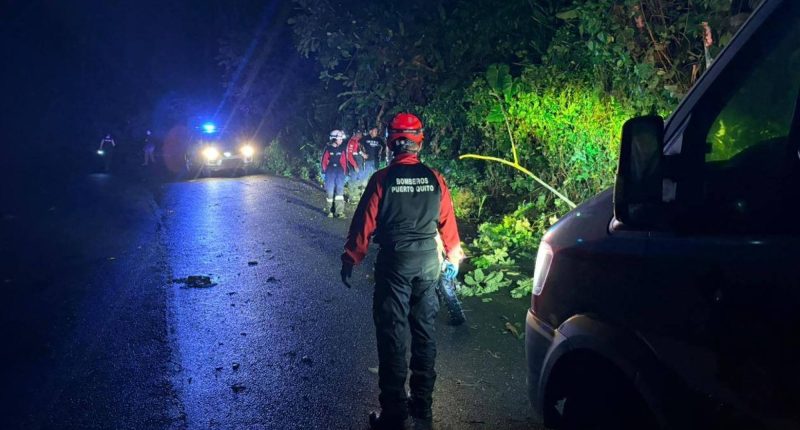 pareja fallece en accidente de tránsito entre un bus y una motocicleta – La Voz del Altiplano