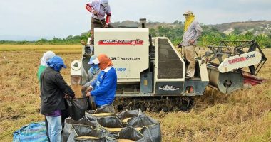 Colombia aplica 30% de arancel a 73 productos – La Voz del Altiplano