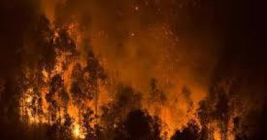 Juez extiende detención del principal sospechoso de incendios en Chile – La Voz del Altiplano