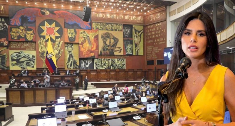 Bancada de ADN declina propuesta sobre libertad de expresión – La Voz del Altiplano
