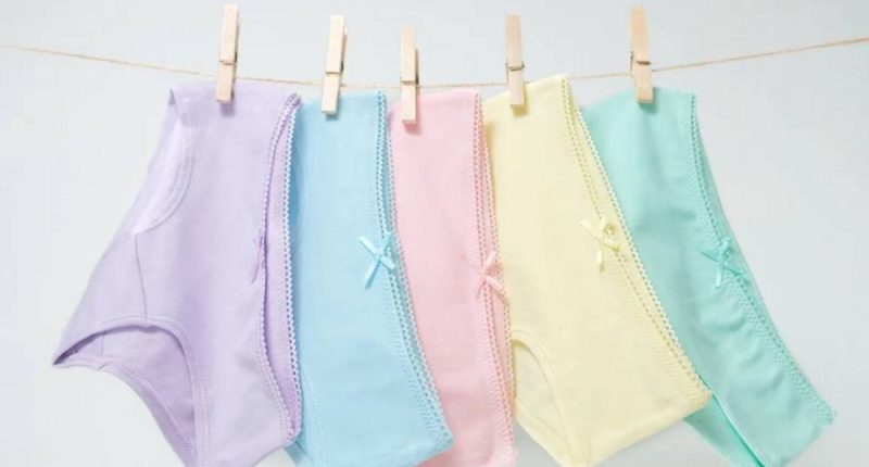 Historia y función del lazo en la ropa interior femenina – La Voz del Altiplano