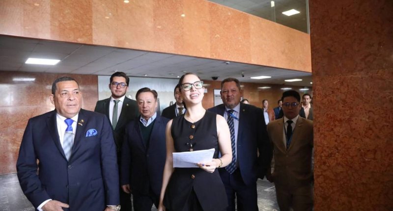 Camila León evalúa nuevo proyecto tras archivo del CAL – La Voz del Altiplano