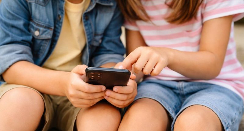 Impacto de las redes sociales en la autoestima y emociones – La Voz del Altiplano