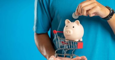 ¿Qué es la Cosede, el blindaje de Ecuador para los ahorros? – La Voz del Altiplano