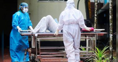 ¿Qué es y por qué preocupa su brote en India? – La Voz del Altiplano