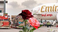Exportaciones masivas por San Valentín – La Voz del Altiplano