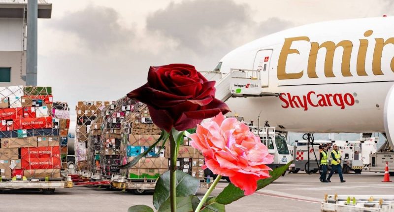 Exportaciones masivas por San Valentín – La Voz del Altiplano