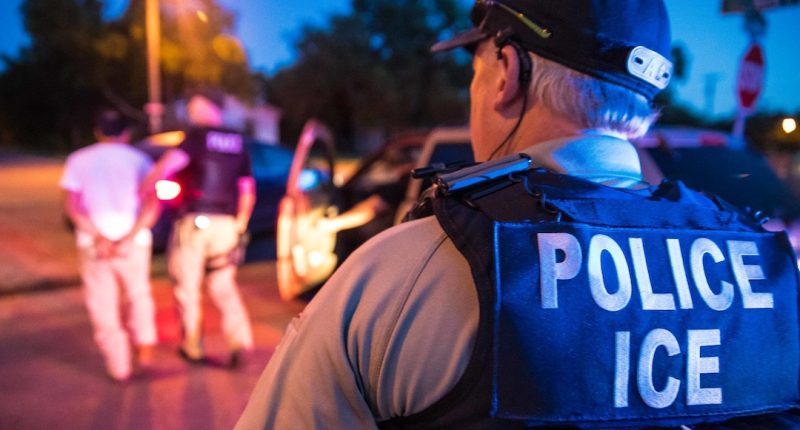 Exoficial de ICE de EEUU admite culpa en caso de violación contra nicaragüense – La Voz del Altiplano