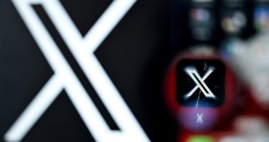 Plataforma X sufre una caída a nivel mundial, reportan usuarios – La Voz del Altiplano