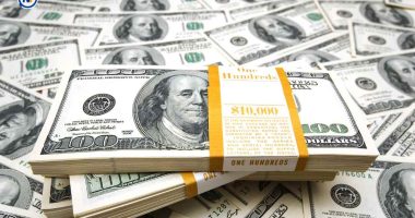 Reservas internacionales del país cerraron en más de 8 mil millones de dólares en 2025 – La Voz del Altiplano